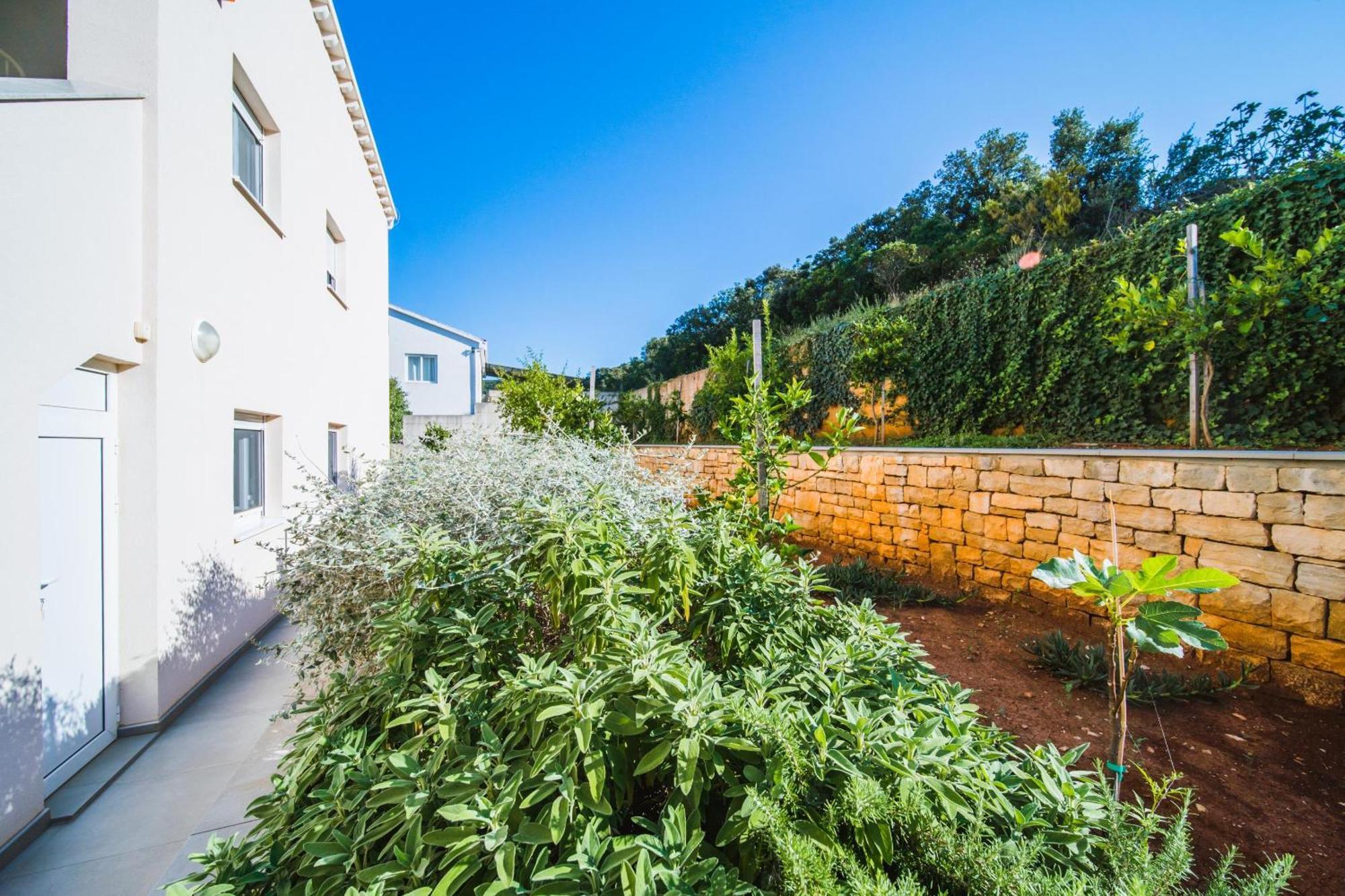 Villa Teuta Korčula Buitenkant foto